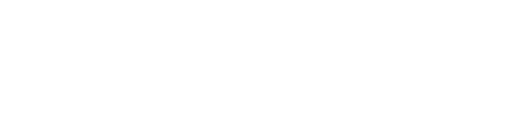 berman-security-white-logo