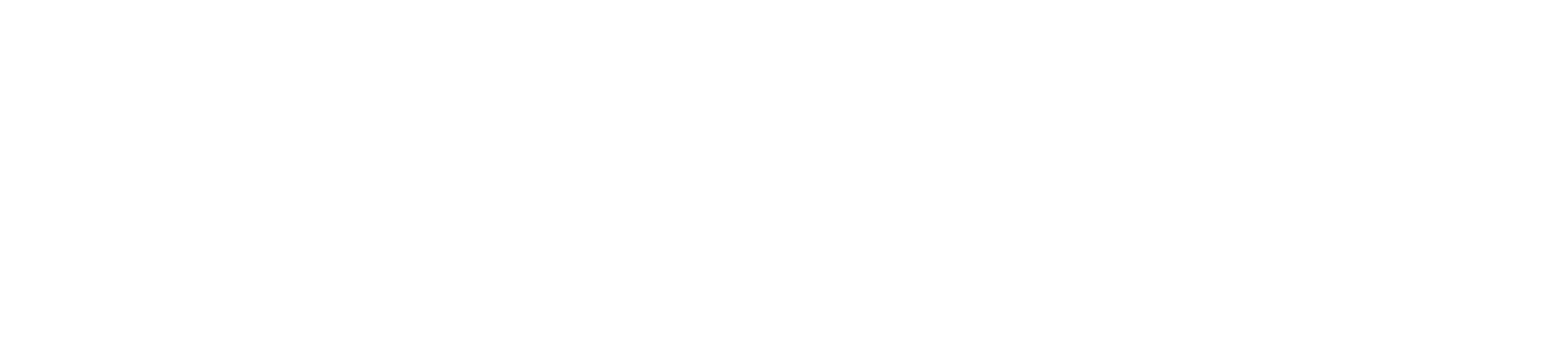 Berman logo white
